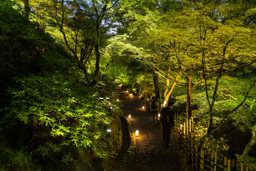 東福寺ライトアップ01